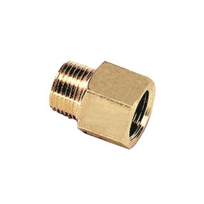Legris - adapter - 3/8" - NPT/BSPP - 0164 18 17