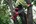 Milwaukee M18 FHS20-0 HATCHET Snoeizaag