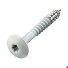 Hoenderdaal HPL schroeven - RVS-A2 - TX - diverse RAL kleuren - 0346.30 serie