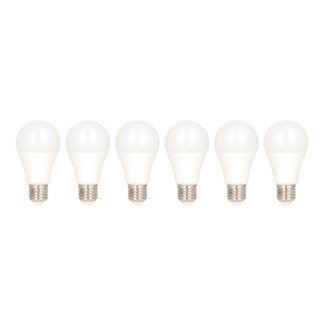 Bailey Ecopack LED lampen [6st] - A60 - E27 - 6W [42W] - 550lm - 840 - opal