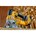 DEWALT DCS334P2-QW Accu Decoupeerzaag met beugelgreep 18V XR - Inclusief 2x 5.0Ah Accu, Lader en Koffer