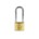 Burg cilinder hangslot 50mm 116 hb 110 E -
