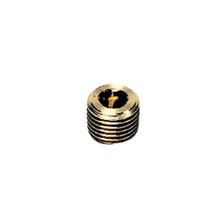 Legris - Plug met binnenzeskant - buitendraad - messing - 0205