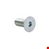 Binnenzeskantbout platkop - 8.8 - DIN7991 - M10x25mm - verzinkt