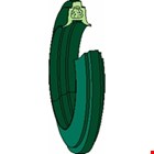 SKF dubbel-lip afdichting tsn 226 l skf