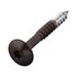 Hoenderdaal grafietzwarte hpl schroef - RVS-A2 - TX-20 - 4.8x38mm