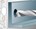 fischer veiligheidsanker - FH II 10/10 S - 503133