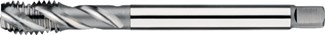 Phantom 233010600 Machinetap M6
