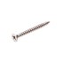 Hoenderdaal spaanplaatschroef [200x] - RVS-A2 - platkop - PZ-1 - 3.0x12mm