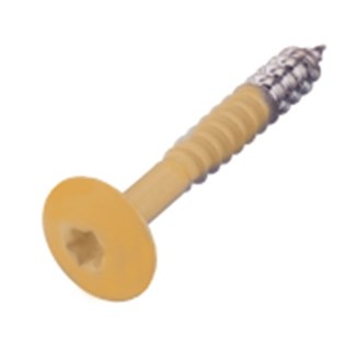 Schroeven voor Trespa® - RVS A2 - Torx T20