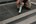 Zwaluw COLOURS + NATURAL STONE - siliconenkit - 310 ml - antraciet grijs RAL7016