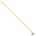 Ivana 56482 onkruidborstel met houder en steel 160cm