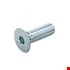Hoenderdaal binnenzeskantbout - VZ - platkop - 2.5 - M4x10mm