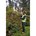DEWALT DCMHT563P1-QW Accu Heggenschaar 55cm 18V XR - Inclusief 1x 5.0Ah Accu en Lader
