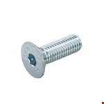 Hoenderdaal binnenzeskantbout - VZ - platkop - 6 - M10x40mm