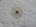 Spit isolatieplug - ISO 10x110/120 (polyamide)
