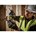 DeWALT DWHT77100-XJ digitale afstandsmeter 30m 