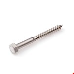 Proftec houtdraadbout [20x] - RVS-A2 - SW-13 - 8x80mm