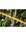 DeWALT DCMHT573N-XJ 54V XR FLEXVOLT heggenschaar 65cm excl. accu en lader