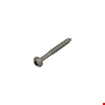 Dynaplus gevelbekledingschroef [200x] - AR-BRONZE - cilinderkop - TX-10 - 3x30/20mm