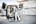 Festool systainer³ - SYS3 M 112 - 7,7 L - 204840