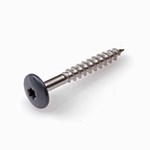 Hoenderdaal gitzwarte hpl schroef - RVS-A2 - TX-20 - 4.8x25mm